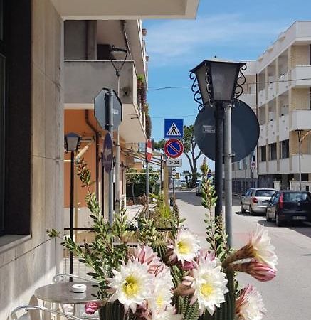 Hotel Blurelda Silvi Marina Exterior photo